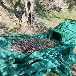 דירה La Marea Portoroz