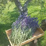 דירה La Marea Portoroz Sečovlje