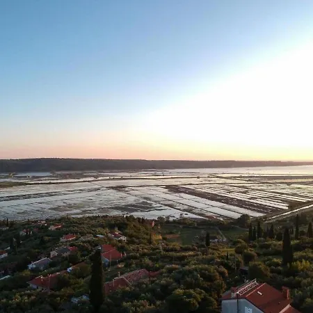 Apartment La Marea Portoroz