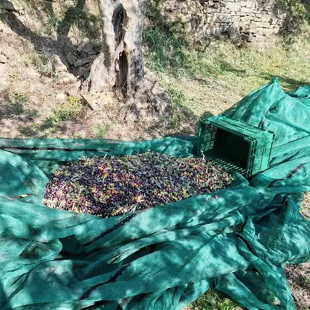 Apartment La Marea Portoroz