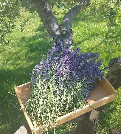 Appartement La Marea Sečovlje