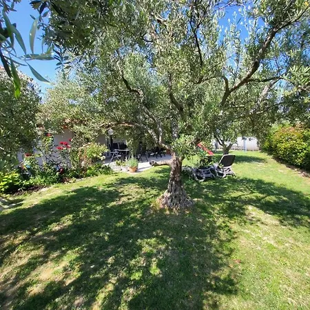 La Marea Portoroz * Secovlje