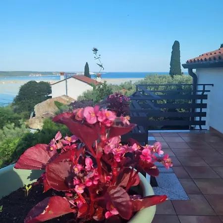 La Marea Portoroz * Secovlje