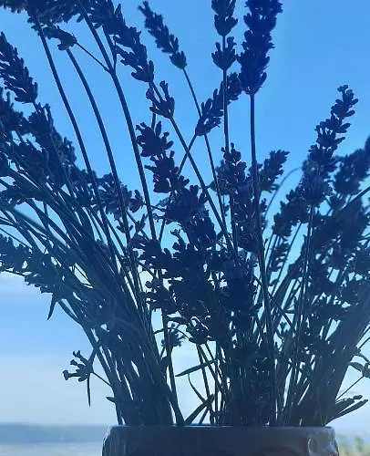 La Marea Portoroz דירה