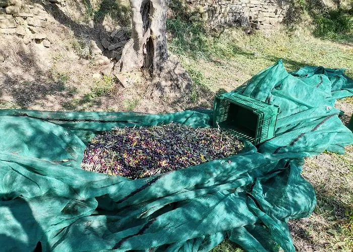 Апартаменты La Marea Portoroz