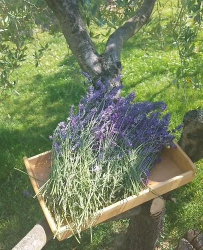 דירה La Marea Portoroz Sečovlje