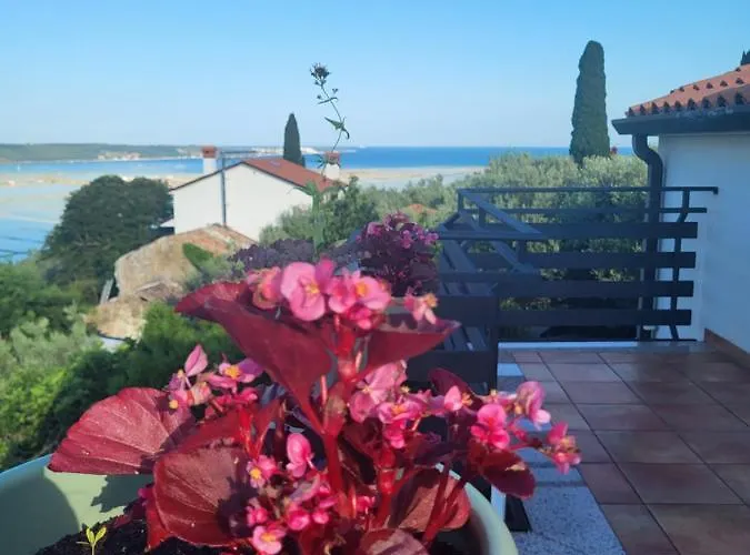 La Marea Portoroz * Сечовле