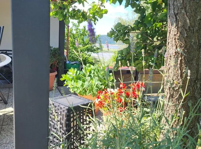 La Marea Portoroz Сечовле